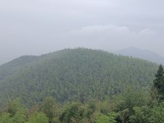 -长沙黑麋峰国家森林公园