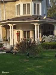 -金庭庄园酒店彩虹厅