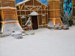 -世界之窗阿尔卑斯冰雪世界