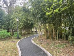 -青州古城