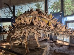 -湖南省地质博物馆