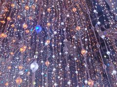 -梵高星空艺术馆(北京旗舰店)