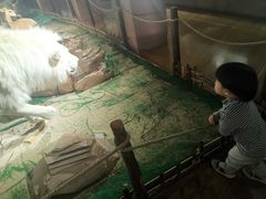 -陕西自然博物馆