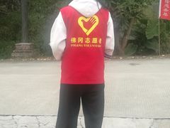 -田野绿世界