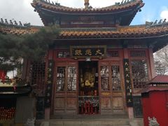 -高尔山公园
