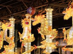 -武汉园博园(武汉自然博物馆)