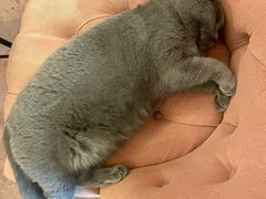 -Me Coffee下午茶艺术空间