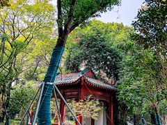 景点-解放公园
