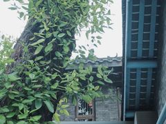 -三联韬奋书店(宽窄巷子店)