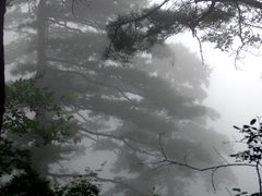 -少华山国家森林公园