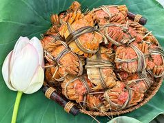 -七的湖·江南蟹舫·阳澄湖农家菜(蟹舫苑店)