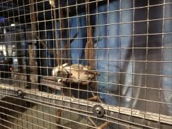 -酷嗒动物文化乐园(cutezoo西溪乐天城店)