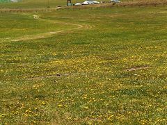 -塞罕坝国家级自然保护区