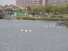 -上海海洋大学(临港校区)