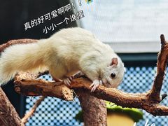 -佛冈森波拉度假区