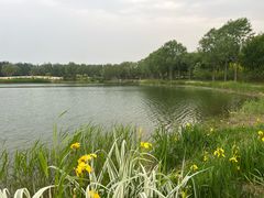 -东郊湿地公园