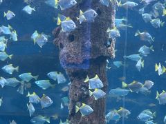 -厦门海底世界
