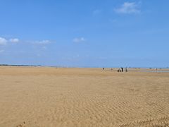 -日照海滨国家森林公园