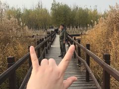 -西青郊野公园