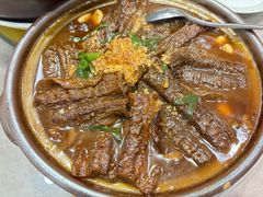 -丁老爷子苏香圆