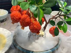 -奔跑吧陕菜·盛世长安(民乐园万达店)