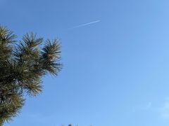 -ChanDu躔度咖啡(灯塔店)