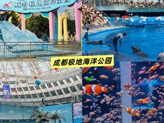 -海合安成都极地海洋公园