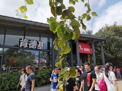 -紫金山山顶公园