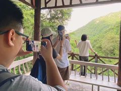 -南海湾森林生态园