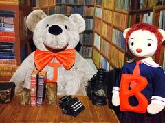 -济州岛泰迪熊博物馆