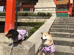 -京都冈本和服体验租赁店(清水寺店)