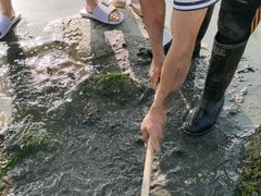 -北海金海湾红树林生态旅游区