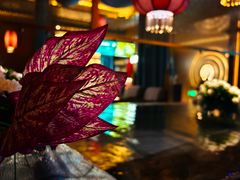 -索拉古贝(义乌北苑店)