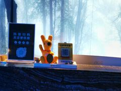 -大鹏佳兆业广场