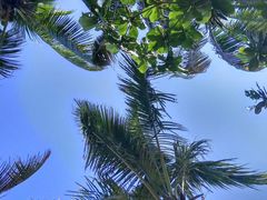 -亚马逊丛林水乐园