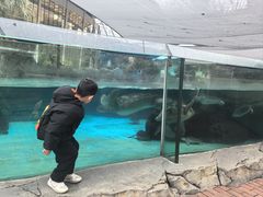 -海合安成都极地海洋公园