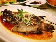 -顺峰(南二环店)