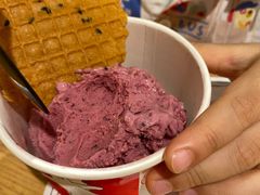 -莉莉熊Lililove Gelato (意大利手工冰淇淋)