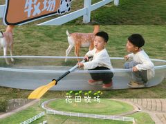 -杭州湾海上花田景区