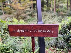 -灵隐飞来峰景区