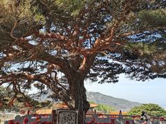 -延吉东来寺