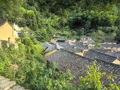 -杨家堂村