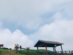-大姆山草场