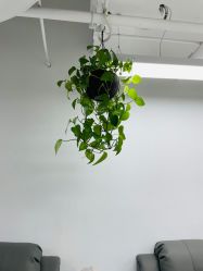 -素兮自助美甲美睫