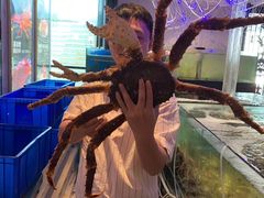 -蟹之国·精品蟹料理(极地店)