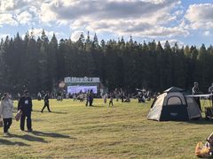 -黄海国家森林公园