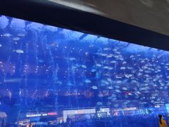 -成都浩海立方海洋公园