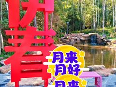 -汤旺河林海奇石景区
