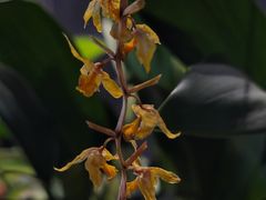 -北京植物园-展览温室