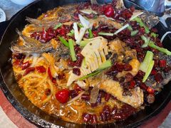 -老板恋上鱼(恒隆广场店)